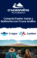 Cruce Andino